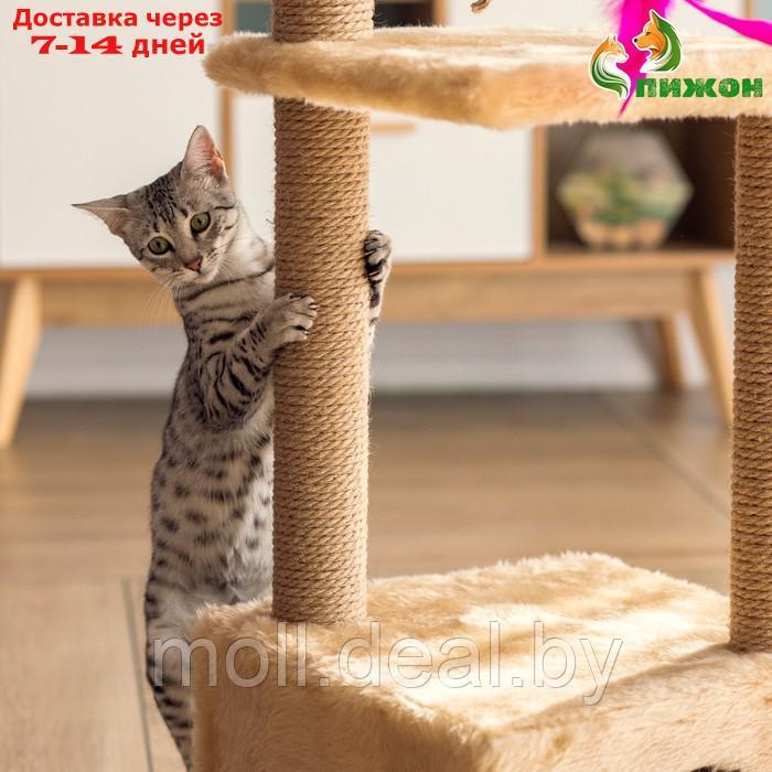 Домик для кошек с двумя полками и ковролином, джут, 37 х 37 х 111 см, бежевый - фото 4 - id-p227111305