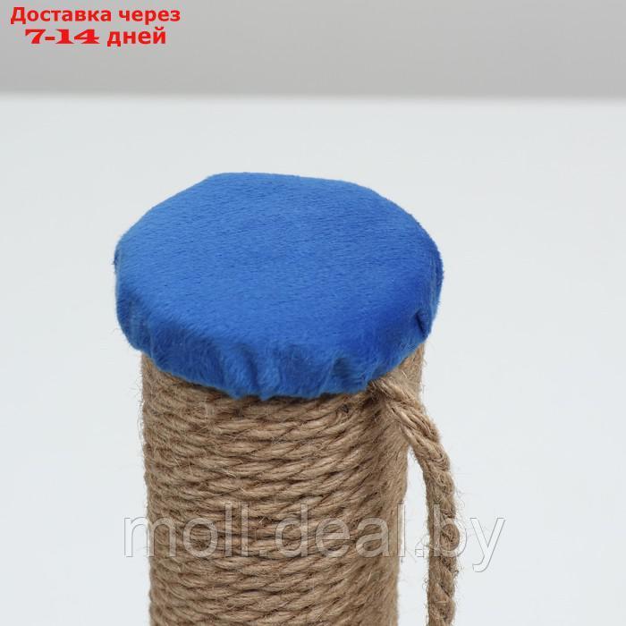 Когтеточка-столбик "Котик", 30 х 30 х 50 см , синяя - фото 3 - id-p227111310
