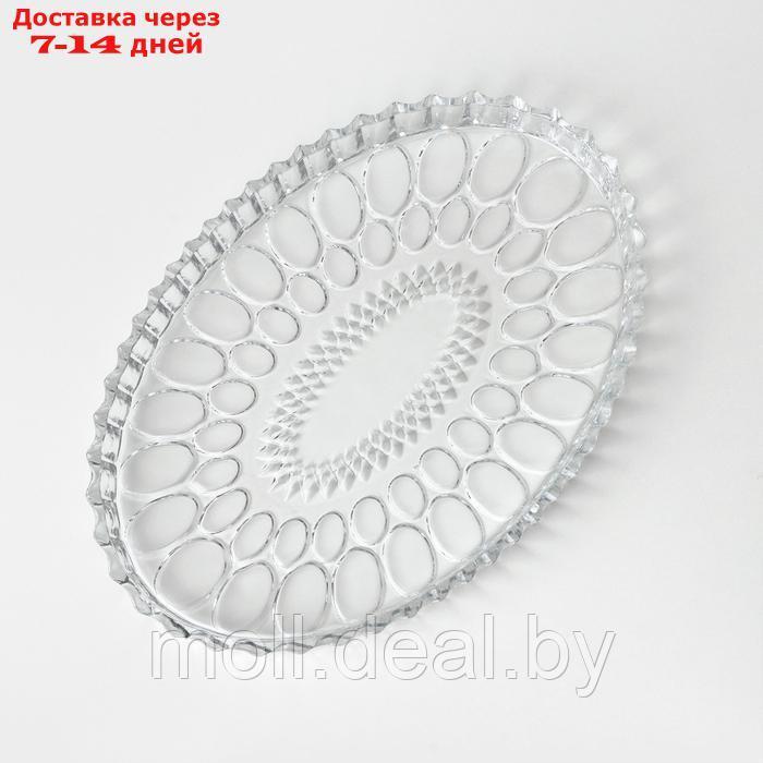 Тарелка стеклянная NOVA, 31,5×21,5 см - фото 2 - id-p227077045