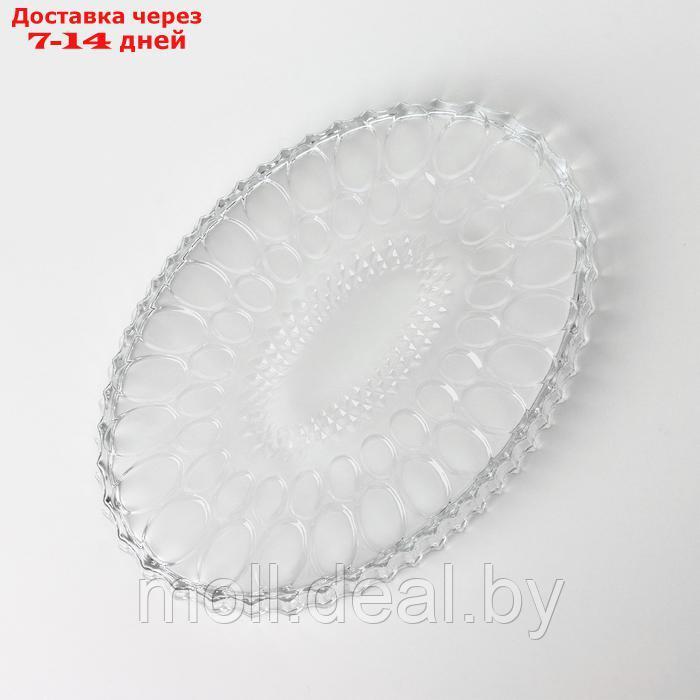 Тарелка стеклянная NOVA, 31,5×21,5 см - фото 4 - id-p227077045