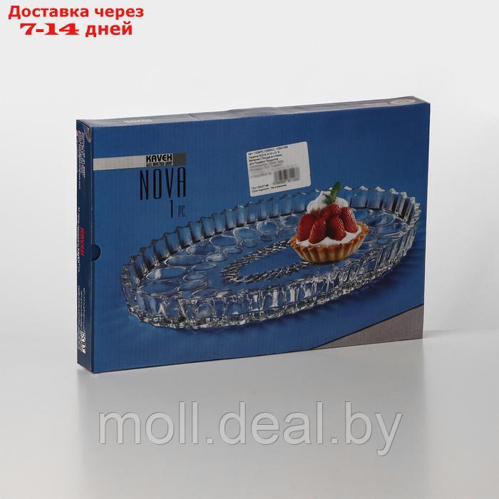 Тарелка стеклянная NOVA, 31,5×21,5 см - фото 5 - id-p227077045
