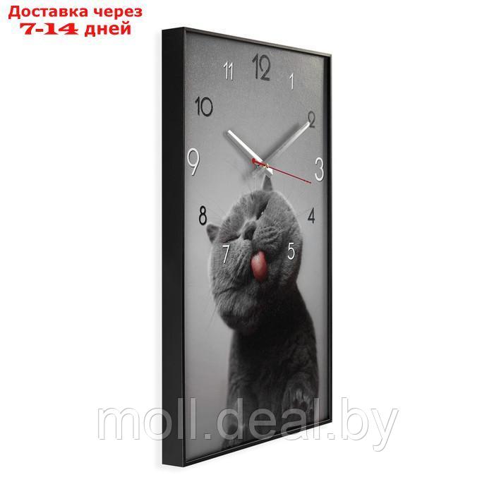 Часы-картина настенные, серия: Интерьер, "Котик", плавный ход, 57 х 35 см, 1 АА - фото 4 - id-p227105274