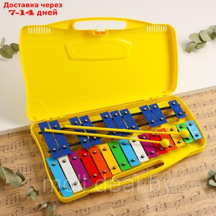 Музыкальный инструмент Металлофон Music Life, 25 тонов, футляр, 2 палочки, желтый - фото 1 - id-p227088975