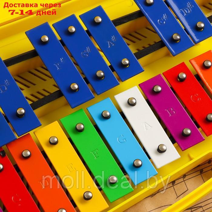 Музыкальный инструмент Металлофон Music Life, 25 тонов, футляр, 2 палочки, желтый - фото 3 - id-p227088975