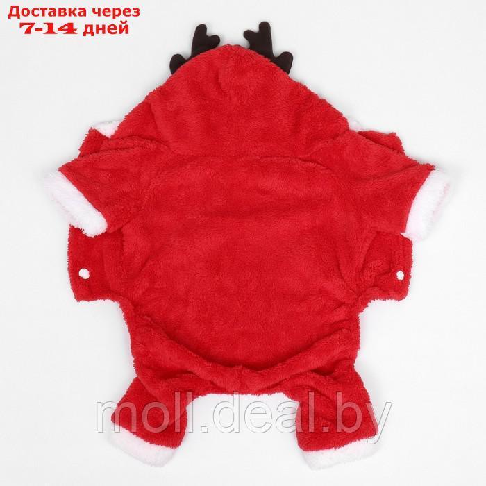 Новогодний костюм "Олень", XL (ДС 35, ОГ 47 см), красный - фото 2 - id-p227096112