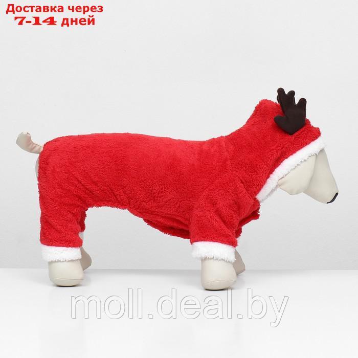 Новогодний костюм "Олень", XL (ДС 35, ОГ 47 см), красный - фото 6 - id-p227096112