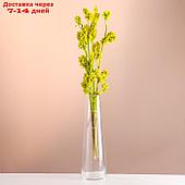 Набор сухоцветов "Солодка", банч 3 шт, длина 50  (+/- 6 см), ярко-желтый