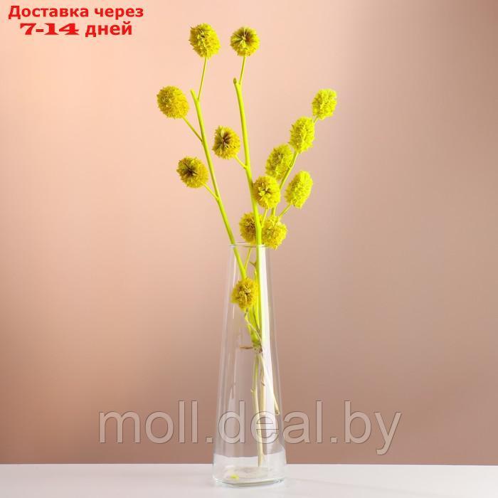Набор сухоцветов "Солодка", банч 3 шт, длина 50 (+/- 6 см), ярко-желтый - фото 5 - id-p227080063