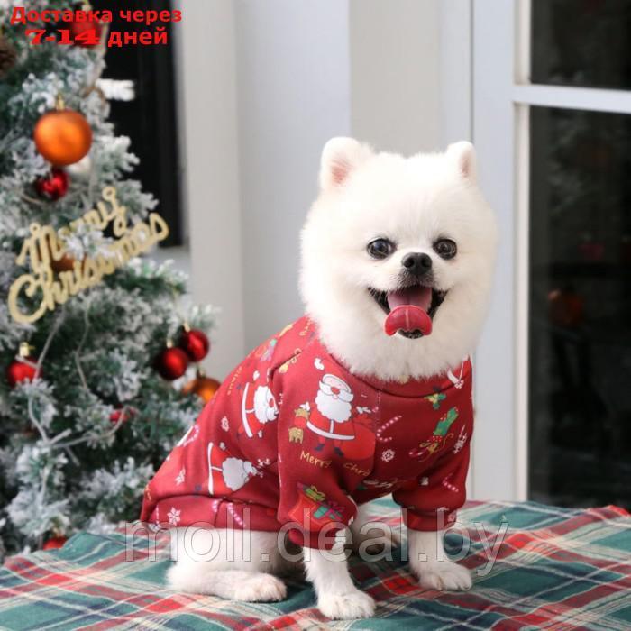 Кофта новогодняя для животных "Подарки", размер S, красный (ДС 25, ОГ 35 см) - фото 1 - id-p227096113