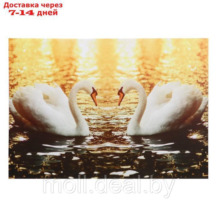 Картина "Два лебедя" 50*70 см - фото 1 - id-p227093030