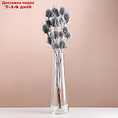 Набор сухоцветов "Ворсянка", банч 7-8 шт, длина 50 (+/- 6 см), серебро
