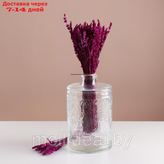 Набор сухоцветов "Лаванда" банч длина 30 (+/- 6 см), розовый - фото 1 - id-p227080069