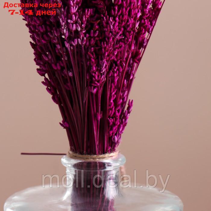Набор сухоцветов "Лаванда" банч длина 30 (+/- 6 см), розовый - фото 2 - id-p227080069