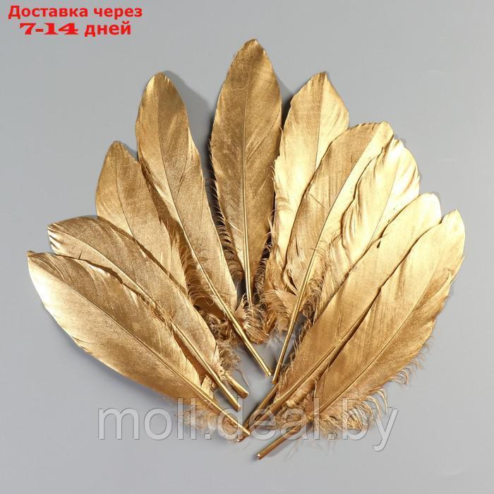 Набор перьев гуся 15-20 см, 10 шт, золотой - фото 2 - id-p227102920