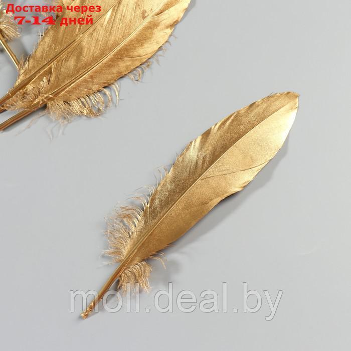 Набор перьев гуся 15-20 см, 10 шт, золотой - фото 3 - id-p227102920
