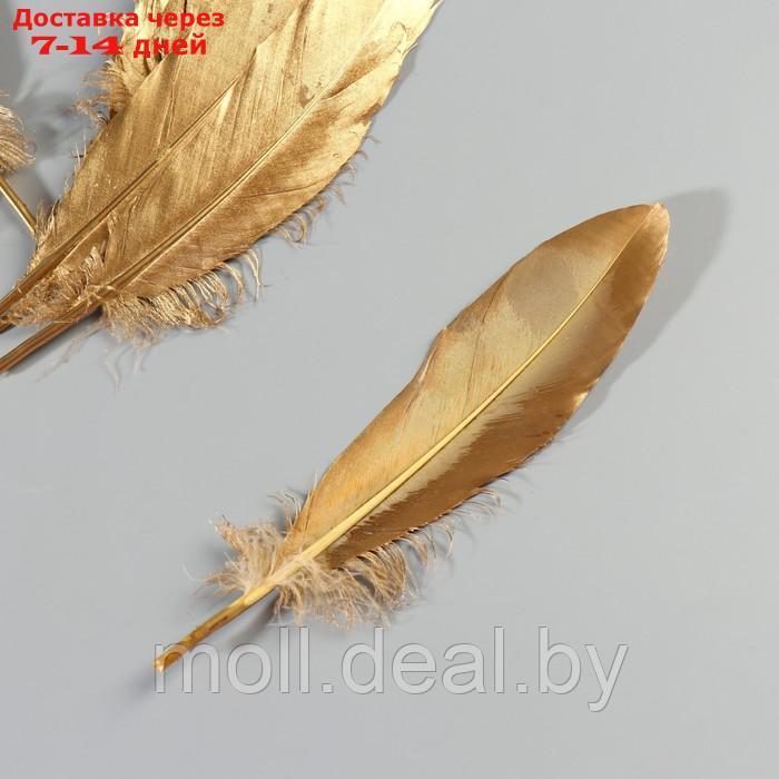 Набор перьев гуся 15-20 см, 10 шт, золотой - фото 4 - id-p227102920