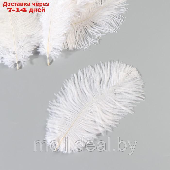 Набор перьев страуса 10-15 см, 10 шт, белый - фото 3 - id-p227102921