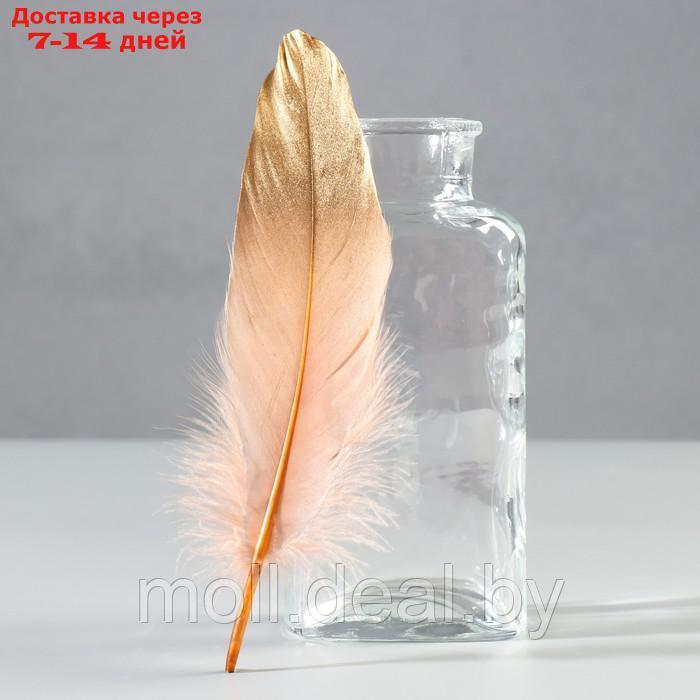 Набор перьев гуся 15-20 см, 10 шт, кофейно-золотой - фото 1 - id-p227102922