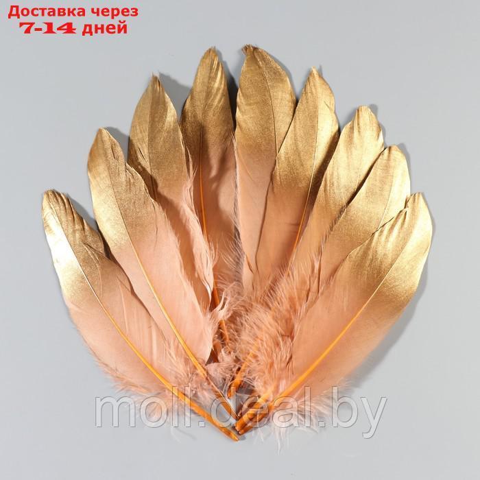 Набор перьев гуся 15-20 см, 10 шт, кофейно-золотой - фото 2 - id-p227102922
