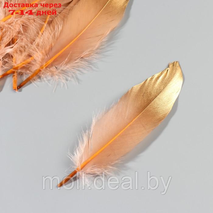 Набор перьев гуся 15-20 см, 10 шт, кофейно-золотой - фото 3 - id-p227102922