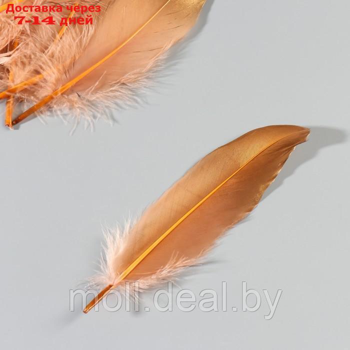 Набор перьев гуся 15-20 см, 10 шт, кофейно-золотой - фото 4 - id-p227102922