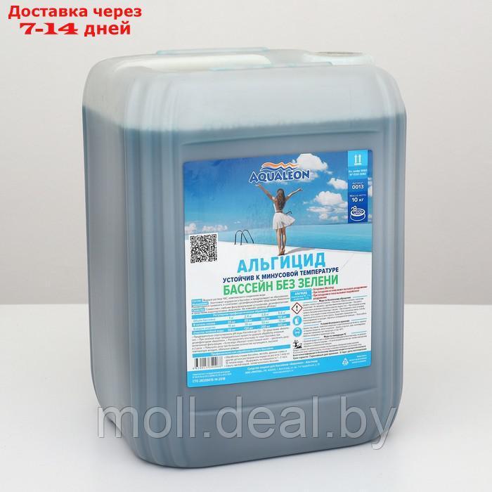 Альгицид Aqualeon 10 л (10 кг) - фото 1 - id-p227109425