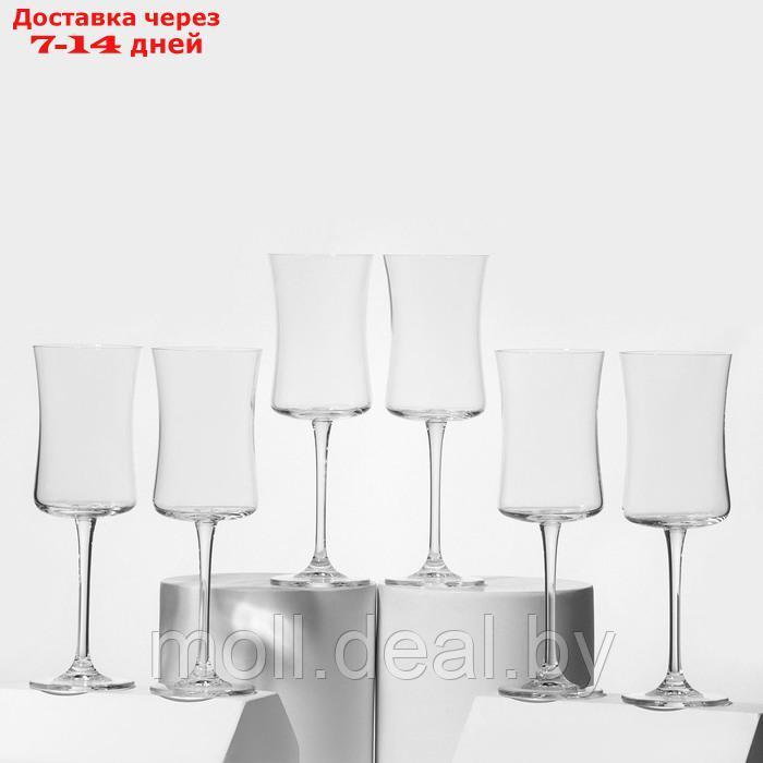 Набор стеклянных бокалов для белого вина BUTEO, 260 мл, 6 шт - фото 1 - id-p227087039