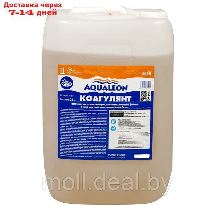Коагулянт Aqualeon жидкое средство, 30 л (35 кг) - фото 2 - id-p227109427