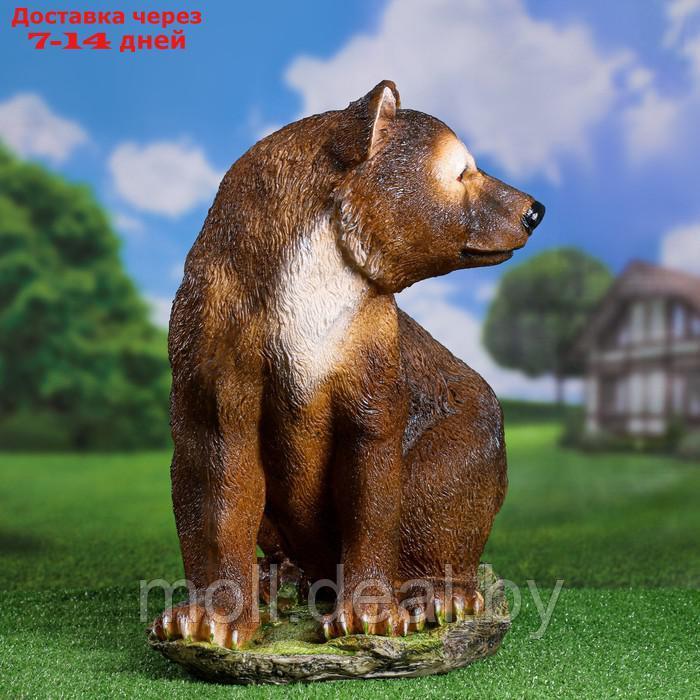 Садовая фигура "Большой медведь" 56х47х37см - фото 4 - id-p227107198