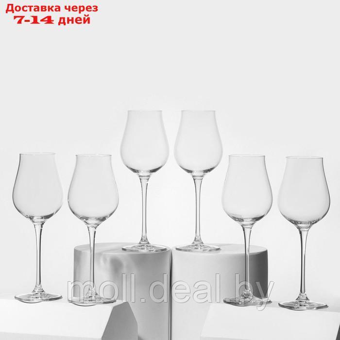 Набор стеклянных бокалов для белого вина LIMOSA, 250 мл, 6 шт - фото 1 - id-p227087040