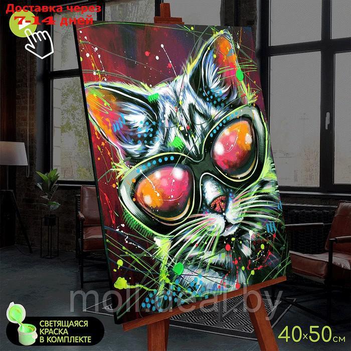 Картина по номерам со светящейся краской 40х50 "Стильный кот" (23 цвета) FHR0582 - фото 1 - id-p227098592