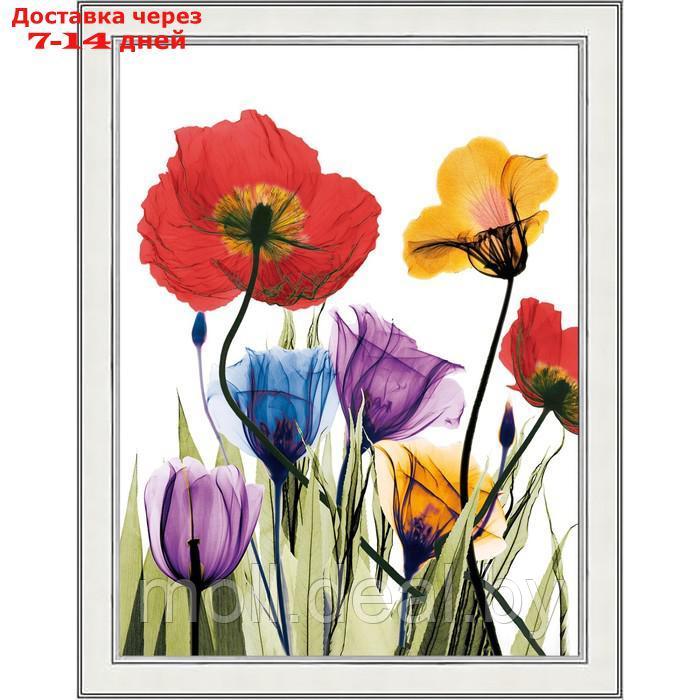 Репродукция картины "Цветы X-Ray. №2", 30х40, рама (45-A355) - фото 1 - id-p227096216