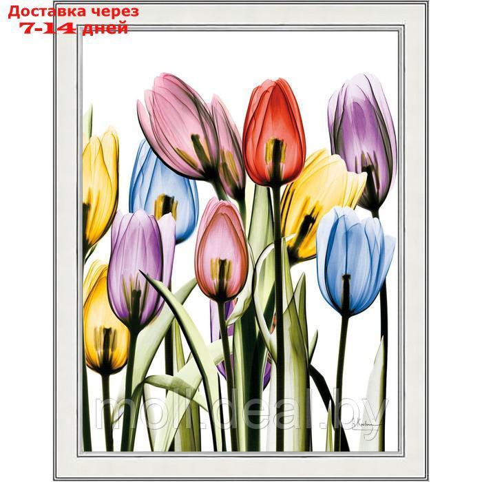 Репродукция картины "Цветы X-Ray. №1", 30х40, рама (45-A355) - фото 1 - id-p227096217