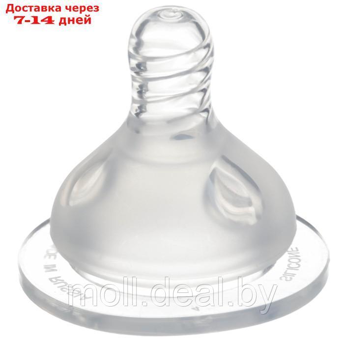 Бутылочка для кормления, широкое горло Little world collection, 270 мл., с ручками - фото 8 - id-p227085080