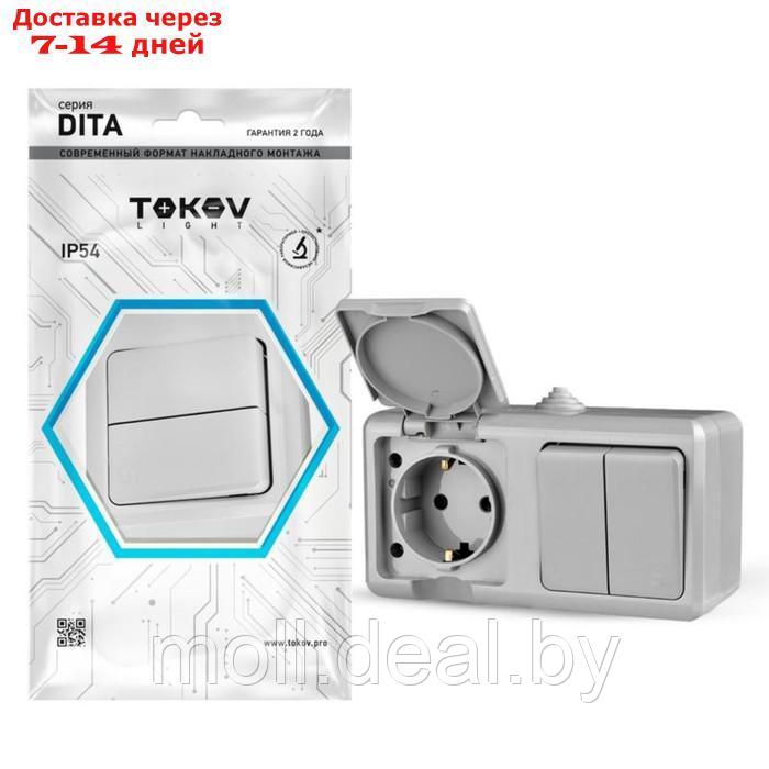 Блок TOKOV ELECTRIC, Dita (розетка 16А, 250В с з/к + 2-кл. выкл. 10А), IP54, серый, TKL-DT-V2RZ-C06 - фото 1 - id-p227082094