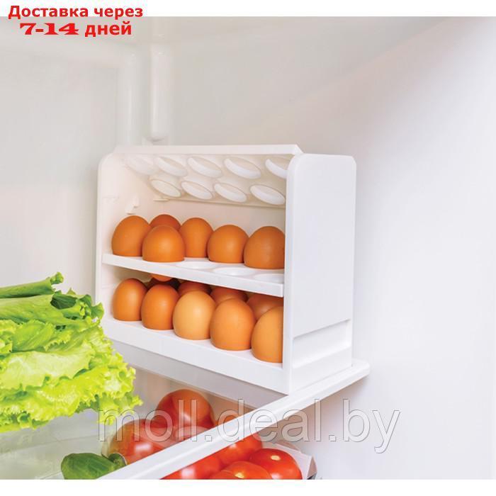 Контейнер для яиц, 30 ячеек, 25×10×19,5 см, цвет белый - фото 2 - id-p227077113
