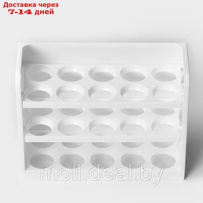 Контейнер для яиц, 30 ячеек, 25×10×19,5 см, цвет белый - фото 4 - id-p227077113