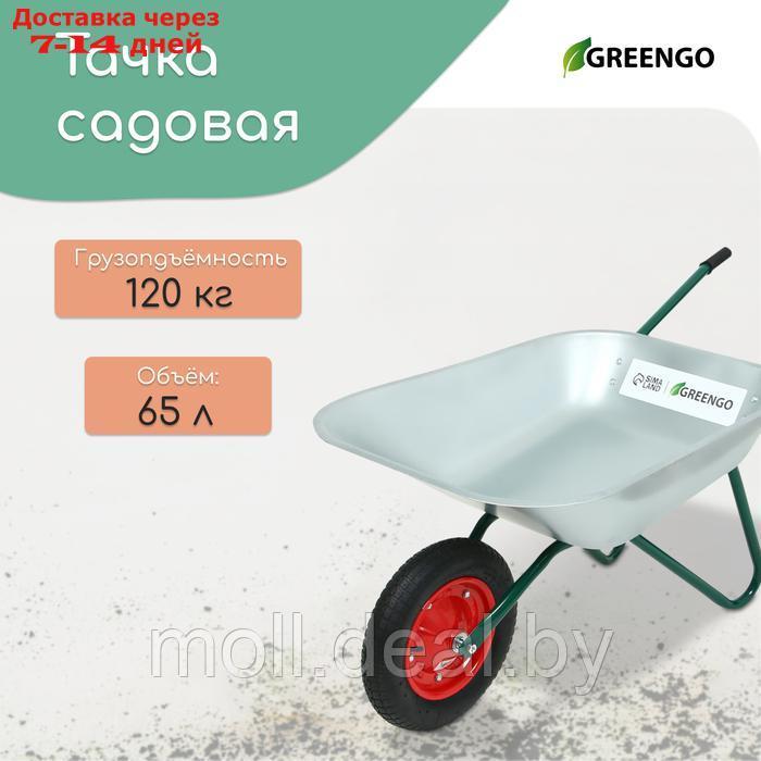 Тачка садовая, одноколёсная: груз/п 120 кг, объём 65 л, Greengo - фото 1 - id-p227075139