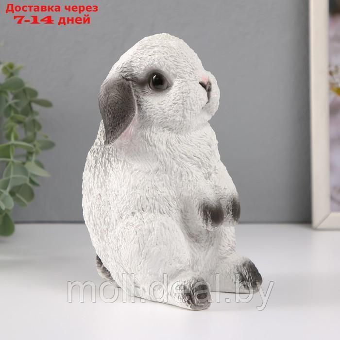 Копилка "Кролик №4 Белый с чёрными кончиками" высота 17,5 см,ширина 11,5 см, длина 11,5 см. - фото 2 - id-p227089049