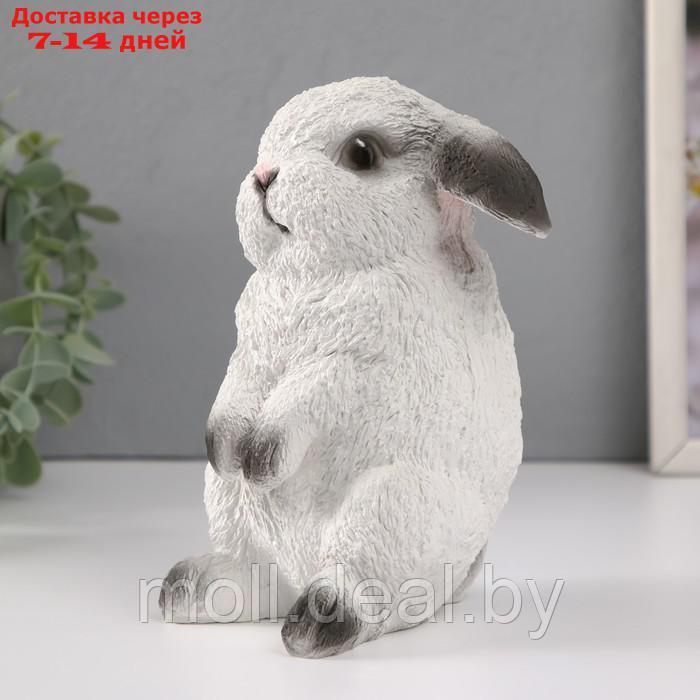 Копилка "Кролик №4 Белый с чёрными кончиками" высота 17,5 см,ширина 11,5 см, длина 11,5 см. - фото 4 - id-p227089049