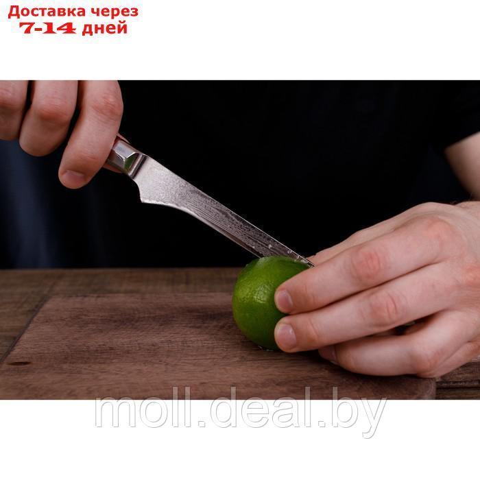 Нож обвалочный Magistro "Ортего", длина лезвия 14,5 см, дамасская сталь AUS-10 - фото 2 - id-p227077127