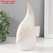 Копилка керамика "Рыбка скалярия" белый перламутр 12,5х6,3х18 см
