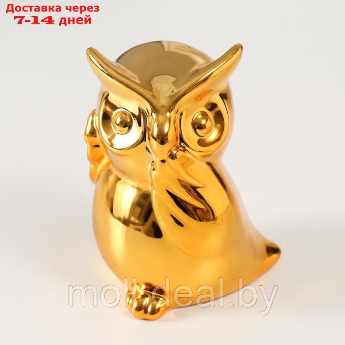 Копилка керамика "Удивлённая сова" золото 12х8х14 см - фото 5 - id-p227089059