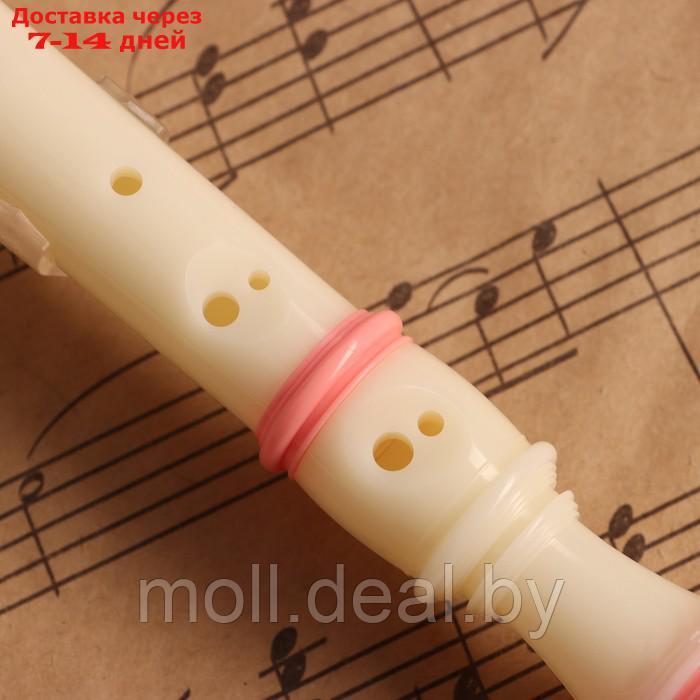 Блокфлейта Music Life, 8 отверстий, розовый чехол, шомпол, 30 см - фото 4 - id-p226888842