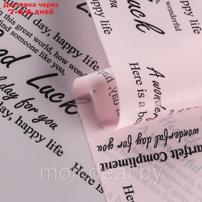 Пленка для цветов, матовая, "Комплимент тон", розовый, 0,6 х 10,4 м - фото 2 - id-p227105442
