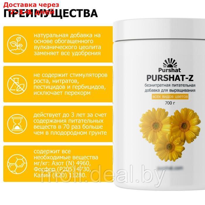 Пуршат-Z безнитратная питательная добавка для цветов, 700г - фото 3 - id-p227075171
