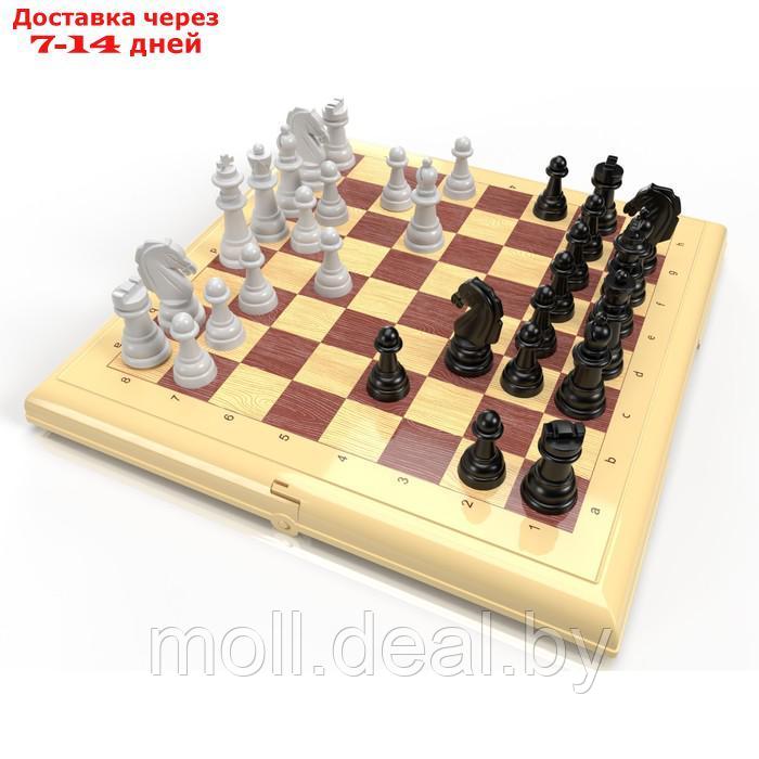 Шашки-шахматы, большие, цвет бежевый