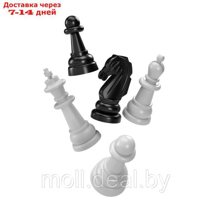 Шашки-шахматы, большие, цвет бежевый - фото 3 - id-p227096362