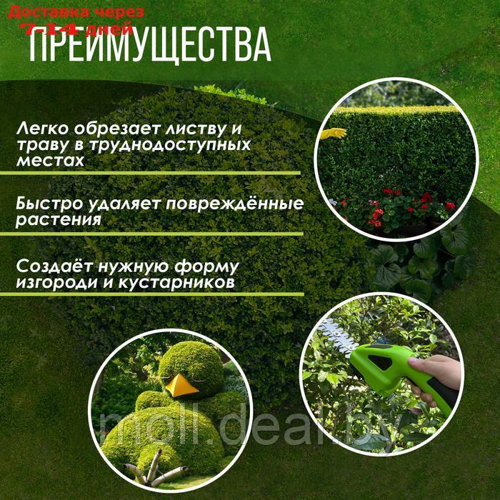 Ножницы-кусторез аккумуляторные ТУНДРА, телескопическая рукоятка, 7.2 В, 1.3 Ач, Li-ion - фото 6 - id-p227075182