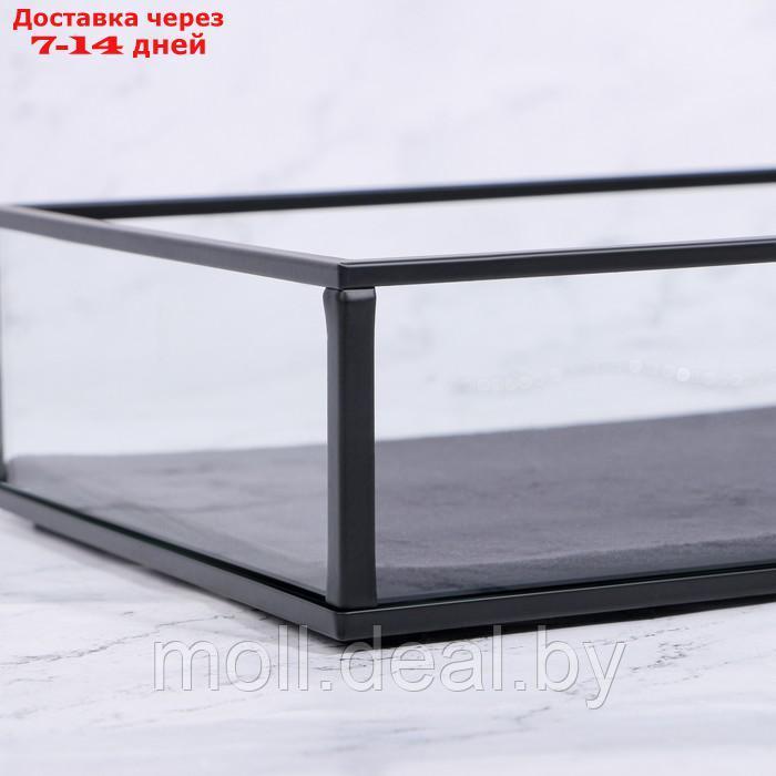 Органайзер для хранения "Square", 1 секция, стеклянный, 24 × 14 × 5 см, цвет прозрачный/чёрный - фото 5 - id-p227079166